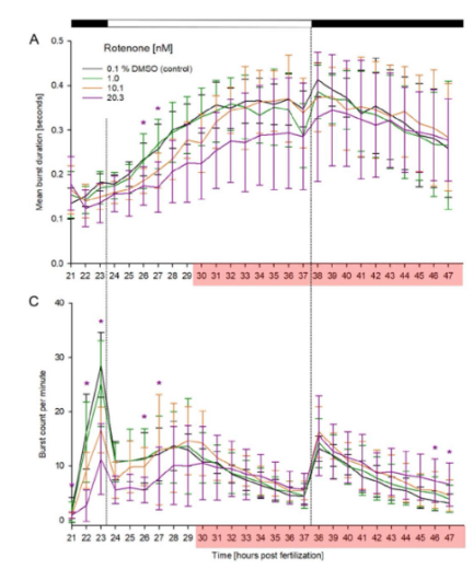 隔离 vs 群养：斑马鱼胚胎也“社交”？