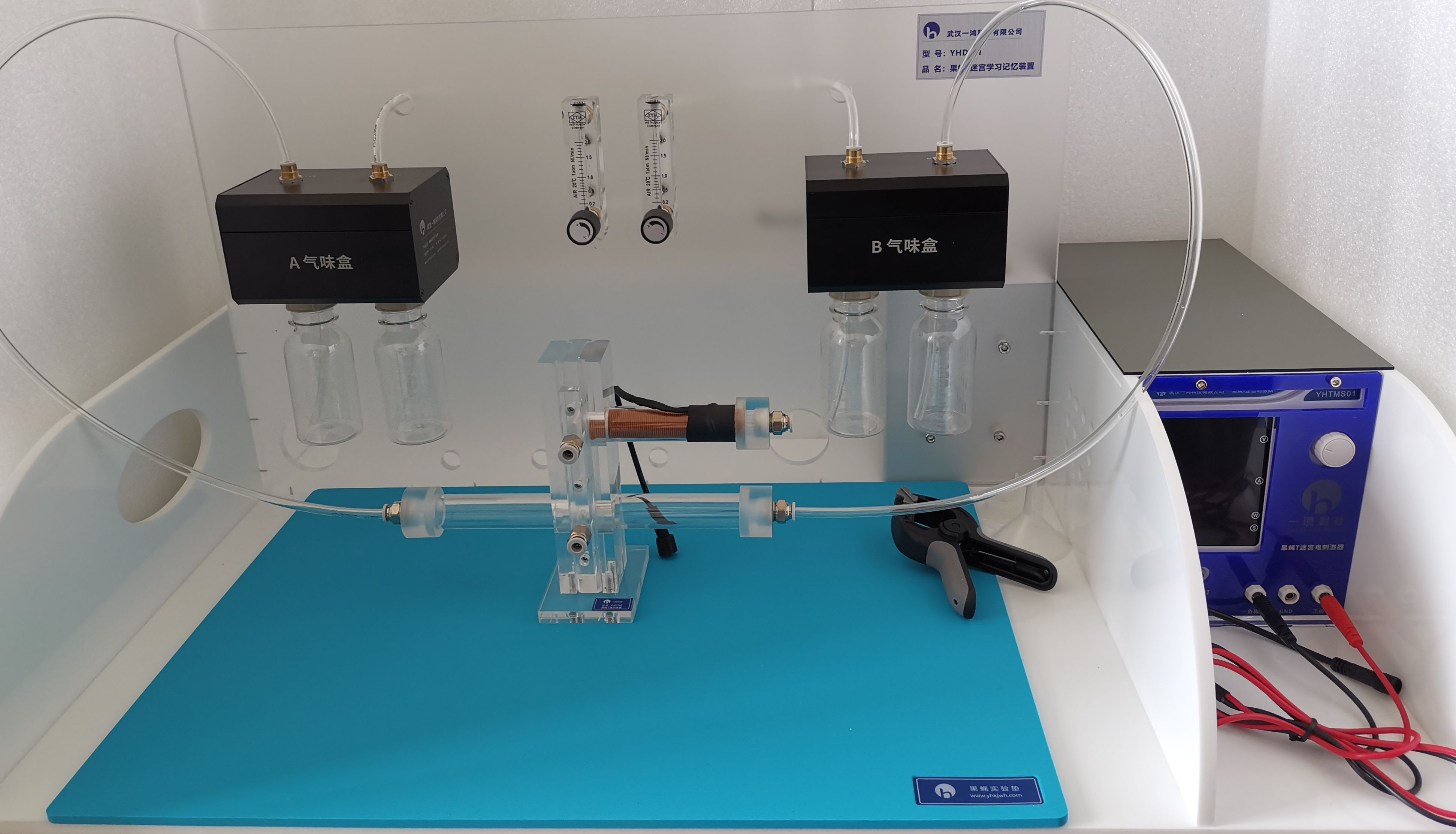 果蝇T迷宫学习记忆装置