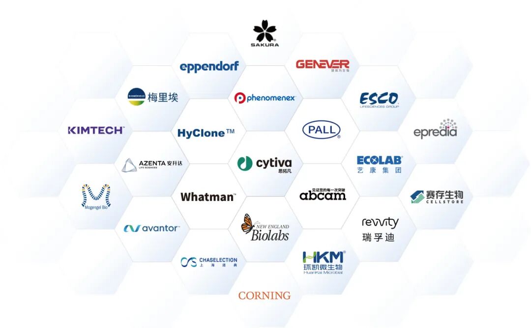 【技术干货】化学仿制药申报迎来“零容忍”时代,粗放式药品申报策略或将终结