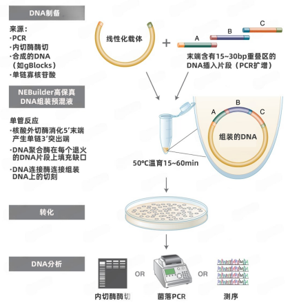 技术资料图片2