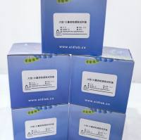 BAC/PAC大型质粒提取试剂盒（溶液型, 无内毒素, 转染级）