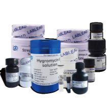 Dual-Luciferase Reporter Assay Kit (双荧光素报告基因检测试剂盒)