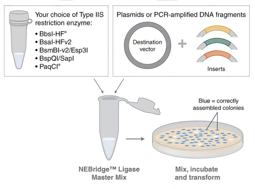技术资料图片10