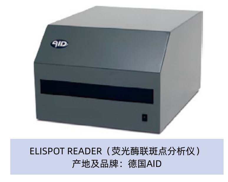 Elispot 技术平台：单细胞功能检测赋能风湿免疫科自身免疫病机制研究