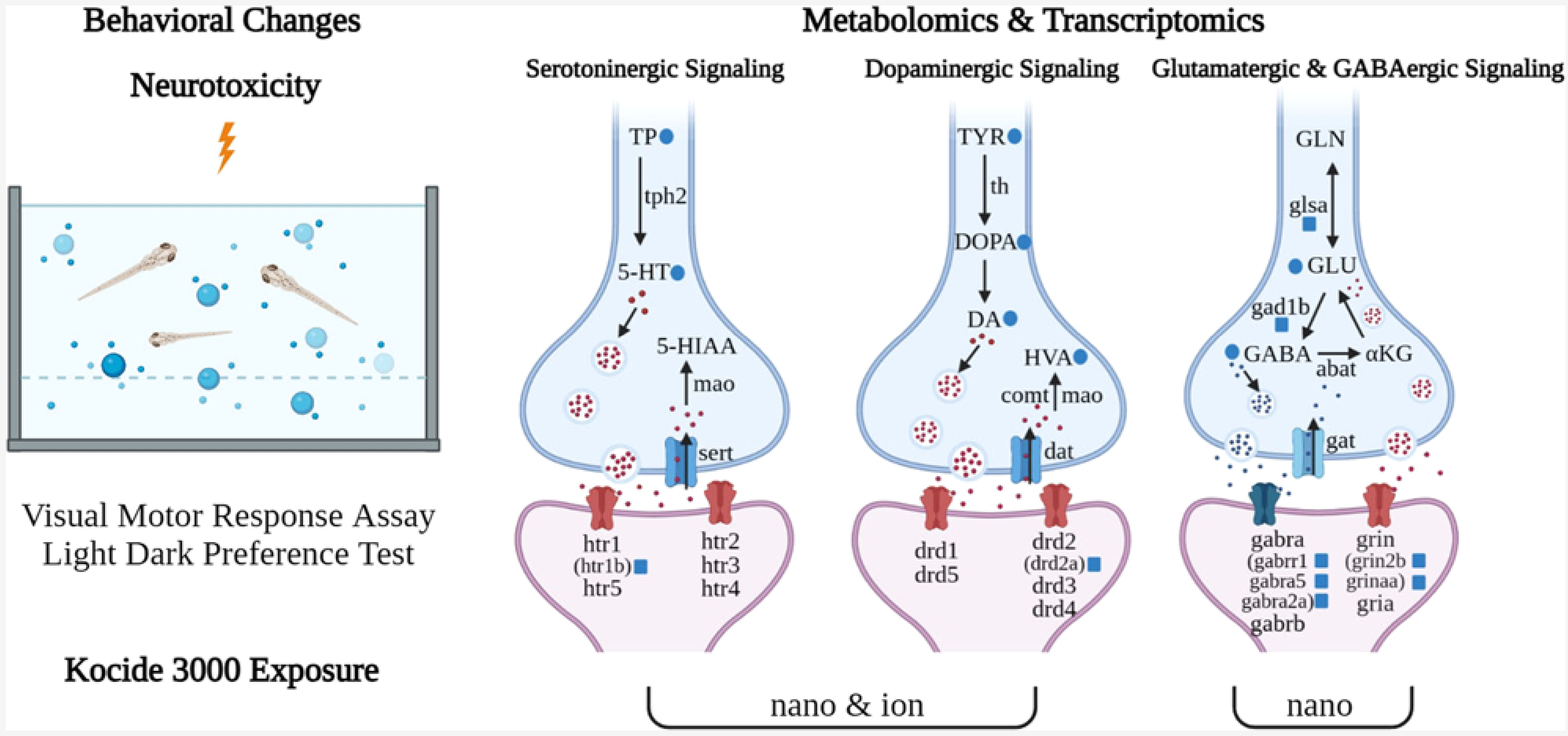 四篇连发！累计 IF 超 40！看广州大学闫兵教授团队如何用代谢组解码环境毒物神经影响的毒性机制？