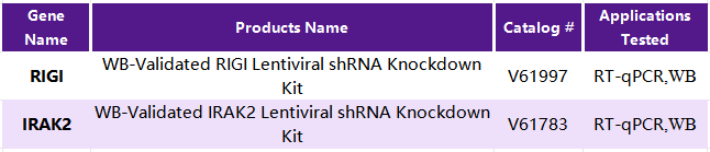 善本生物精选 |TLR信号通路上下游信号分子作用及其意义