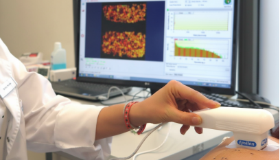 四个不同物种IVPT常用皮肤模型生理参数表征及比较评价