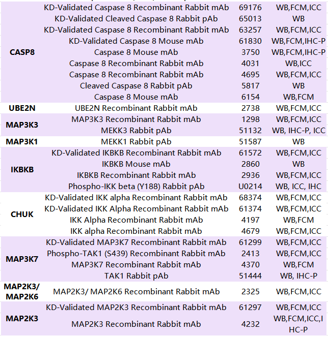 善本生物精选 |TLR信号通路上下游信号分子作用及其意义