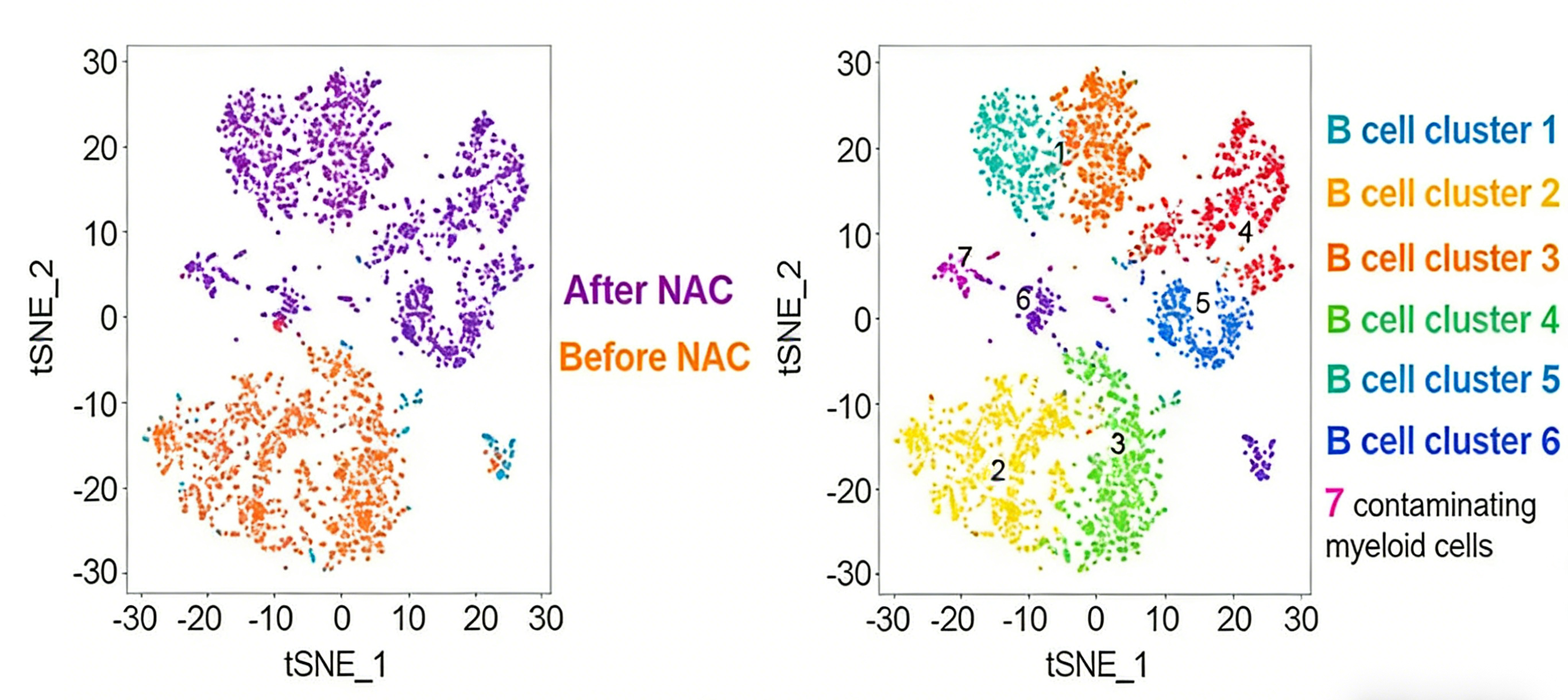单细胞转录组数据的聚类分群：方法、挑战与进展