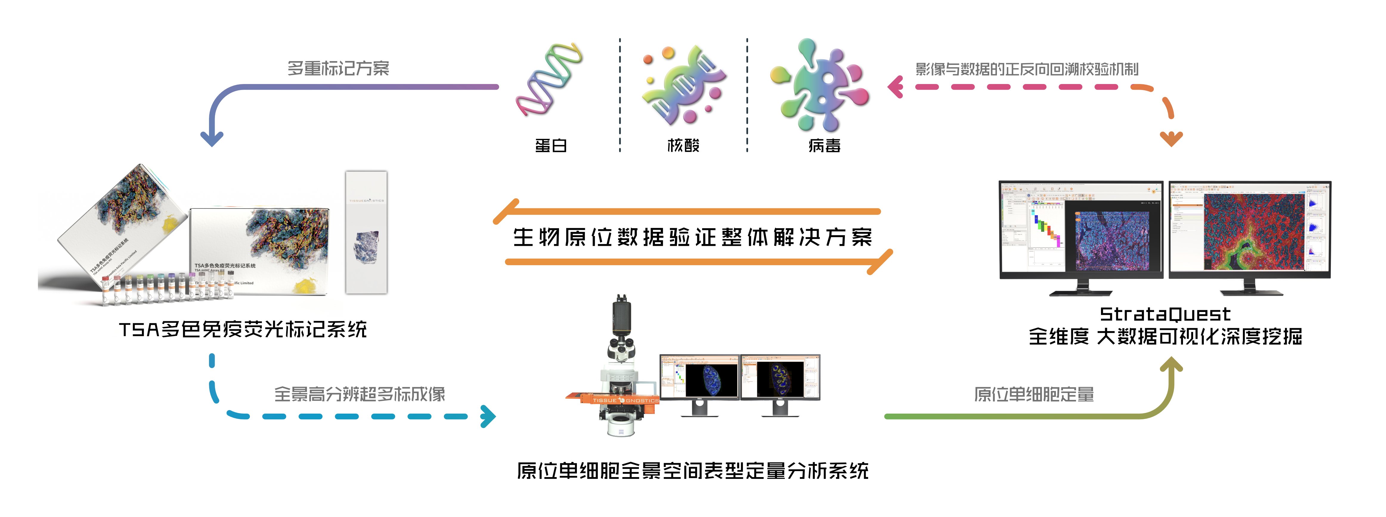 StrataQuest 8.0版本
