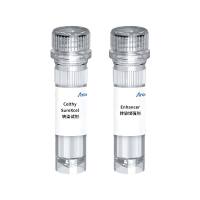 Celthy SureXcel 3000转染试剂