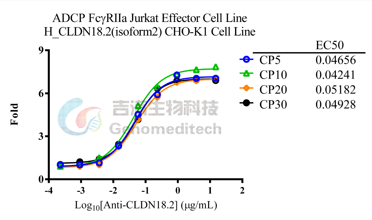 技术分享 | 一文读懂抗体：结构、分类与ADCC/ ADCP/ CDC机制