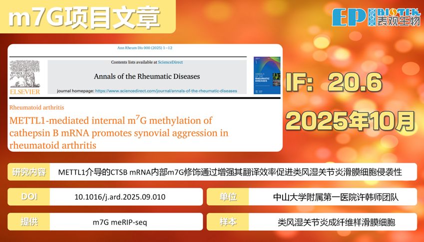 m7G项目文章 | IF 20.6 中大附一团队揭示METTL1介导m7G修饰通过CTSB促进类风湿关节炎滑膜侵袭的分子机制