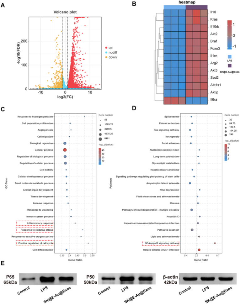 生物信息学分析 生物信息学分析
