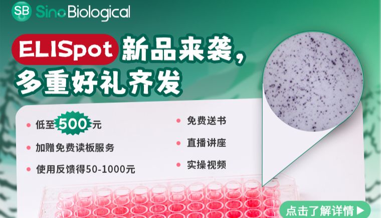 从小鼠脾脏到PBMC：ELISpot样本处理全流程解密