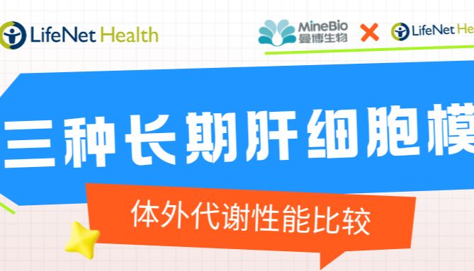 【代谢研究】三种长期肝细胞模型的体外代谢性能比较