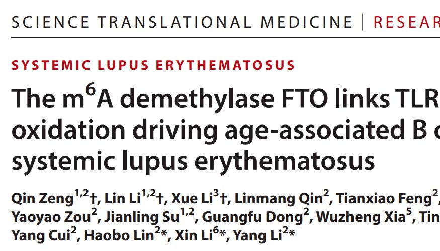 MeRIP-seq项目文章 | FTO驱动狼疮致病B细胞形成（IF 14.6）、胰腺癌疼痛抑郁共病表观新机制（IF 15.0）