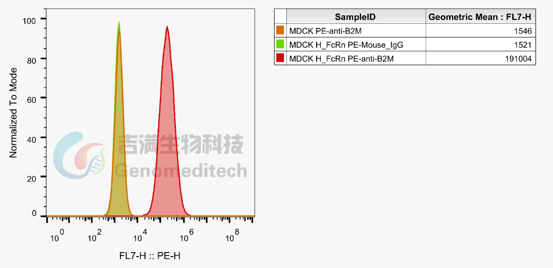 技术分享 | 一文读懂抗体：结构、分类与ADCC/ ADCP/ CDC机制