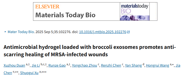“植物外泌体”重磅！西兰花外泌体复合水凝胶重塑免疫微环境，解锁耐药菌感染伤口抗瘢痕愈合新策略！