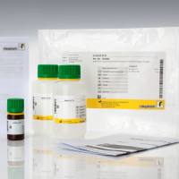 Cocktail ECO (Cocktail ECO 提取液)