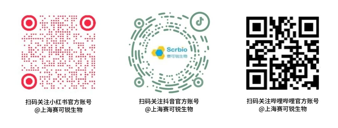 乳糖衍生物---稳定同位素标记系列