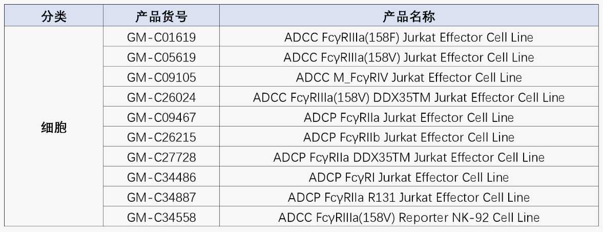 技术分享 | 一文读懂抗体：结构、分类与ADCC/ ADCP/ CDC机制