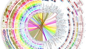 净信高通量声波基因组剪切仪（DNA 打断仪）：生物医药科研的标准化前处理工具
