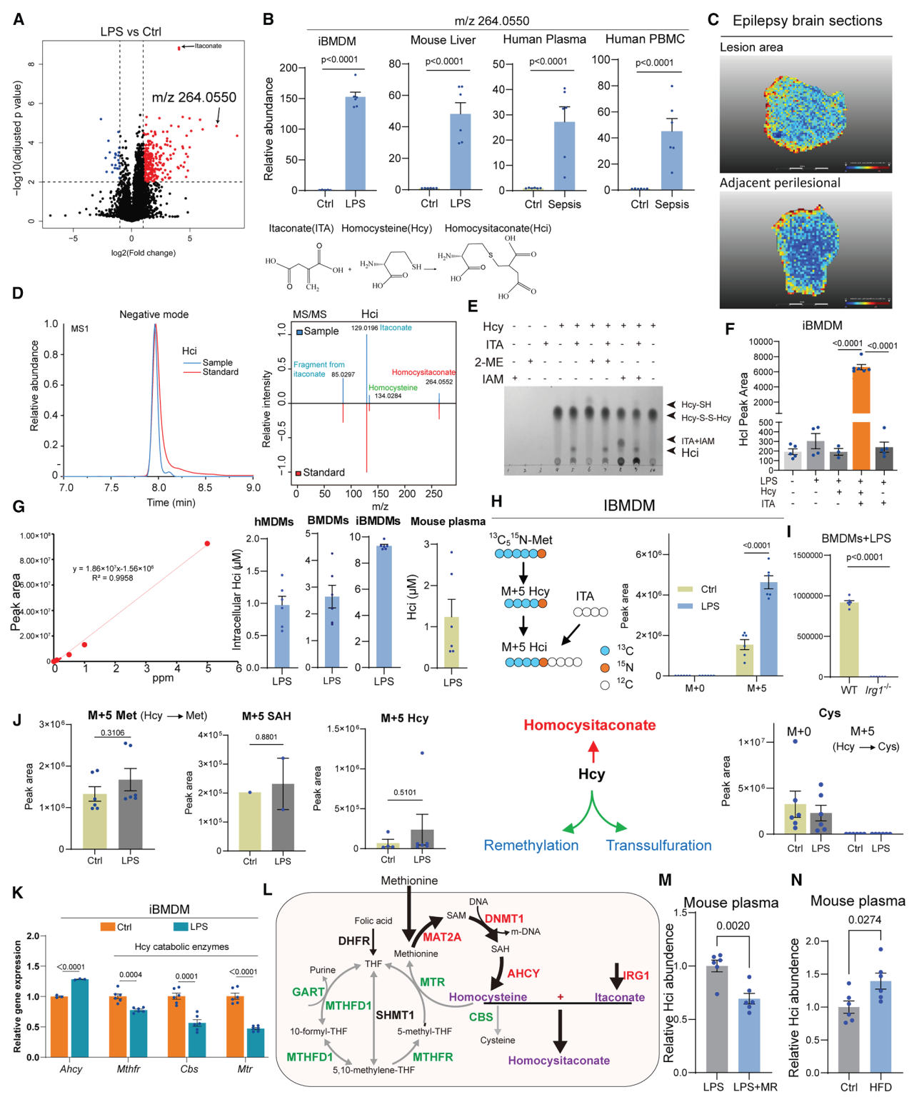 Cell Metab项目文章 | Lip-MS+转录组拿下代谢顶刊！同济大学团队发现新型抗炎代谢物——同康酸！