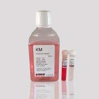 角质细胞培养基 KM