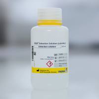 RIDA® Extraction Solution (colorless) (RIDA® 提取液（无色）)