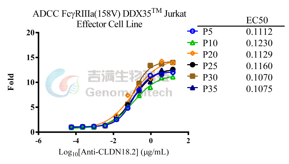 技术分享 | 一文读懂抗体：结构、分类与ADCC/ ADCP/ CDC机制