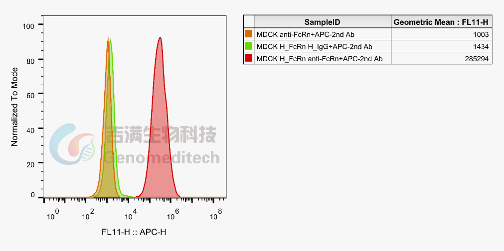 技术分享 | 一文读懂抗体：结构、分类与ADCC/ ADCP/ CDC机制