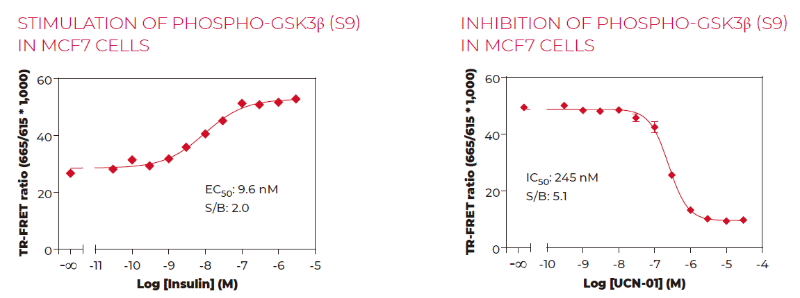 通路突破 | AKT：癌症药物研发的新前沿