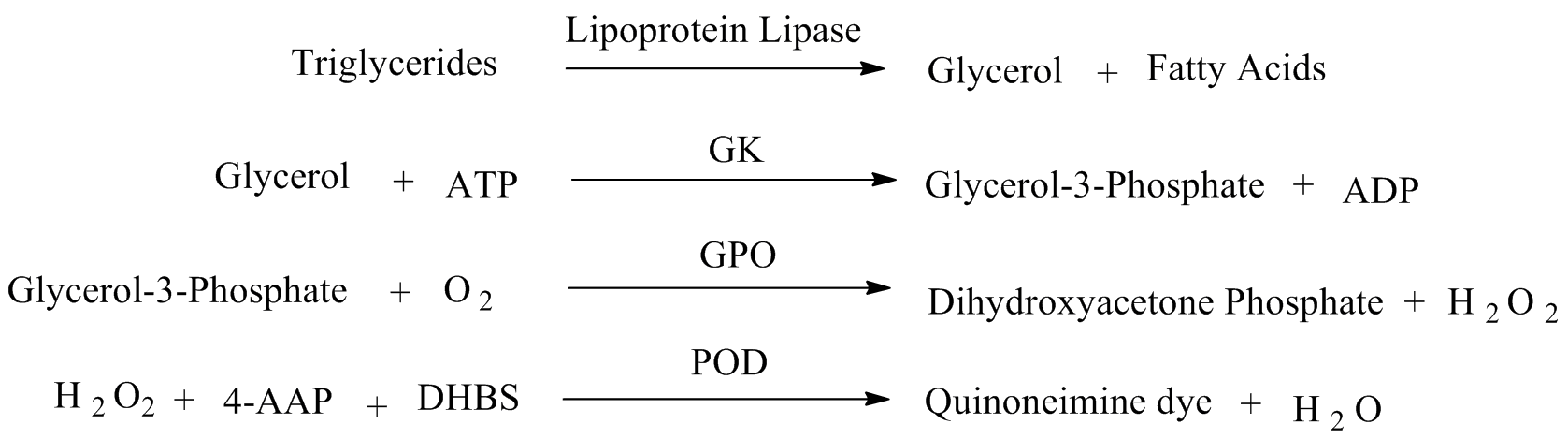 30 分钟快速出结果！Elabscience 甘油三酯（TG）检测试剂盒助力科研提速