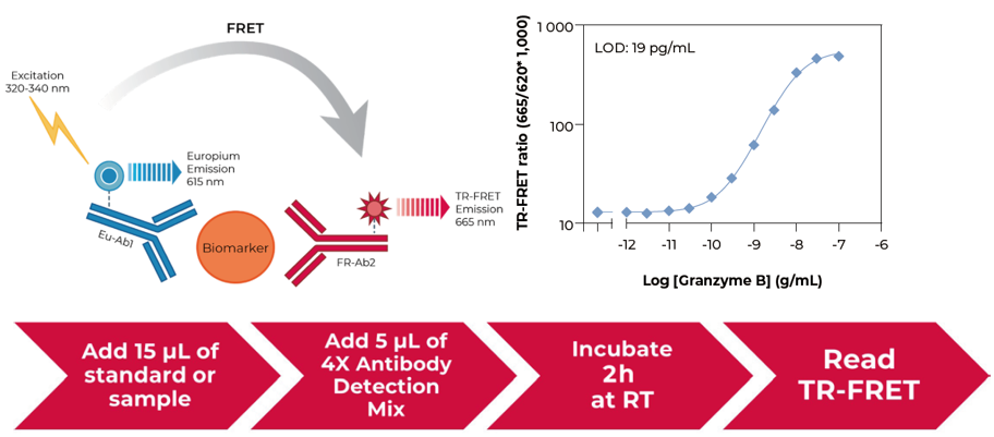通路突破 | AKT：癌症药物研发的新前沿