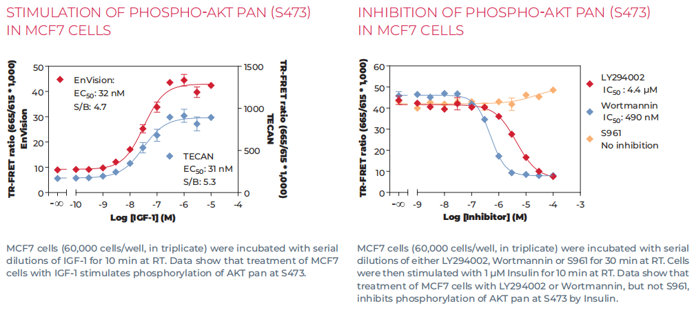 通路突破 | AKT：癌症药物研发的新前沿