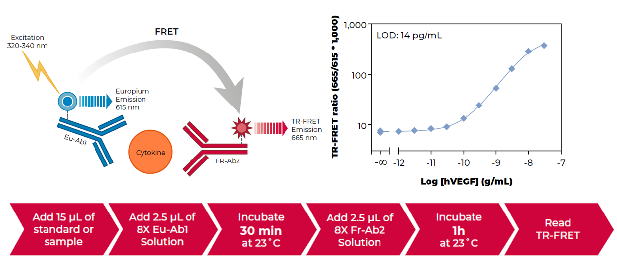 通路突破 | AKT：癌症药物研发的新前沿