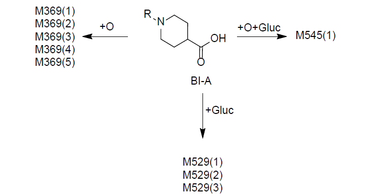 BI-A的预测代谢途径 BI-A的预测代谢途径