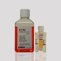 内皮细胞培养基 ECM