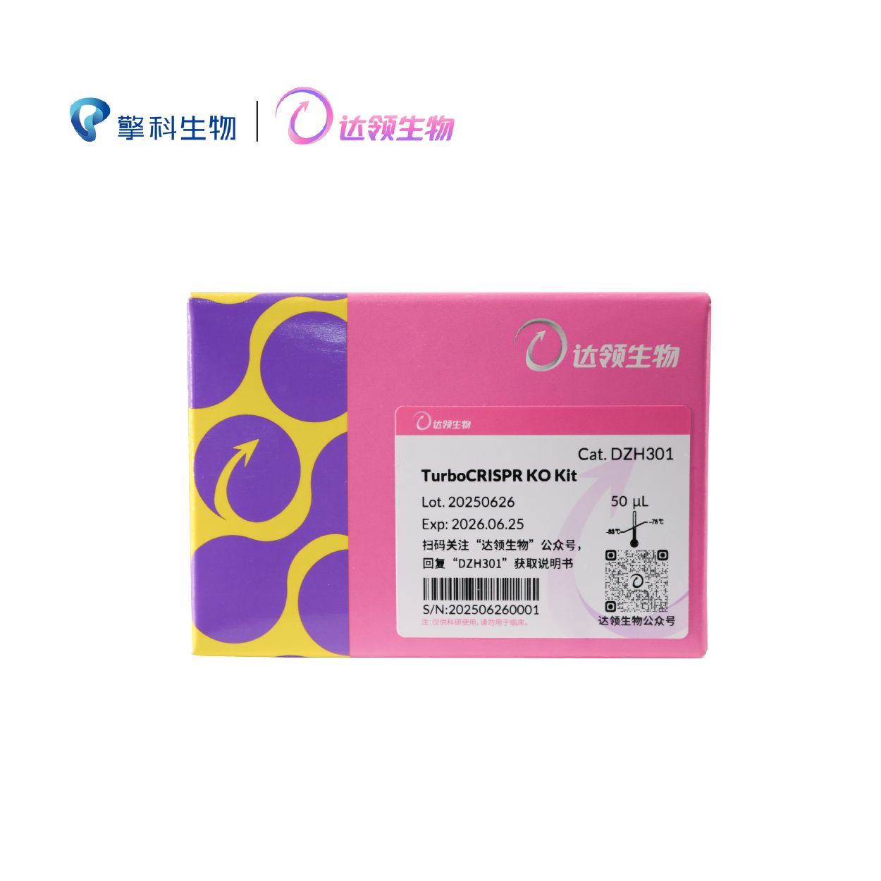 CRISPR KO极速基因敲除试剂盒