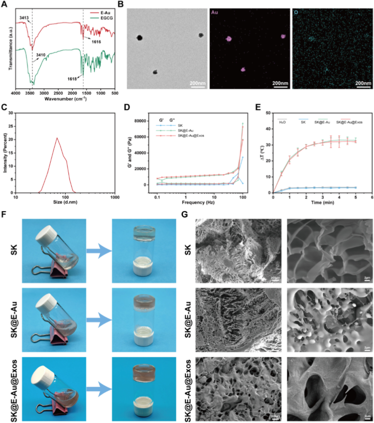 外泌体实验 外泌体实验