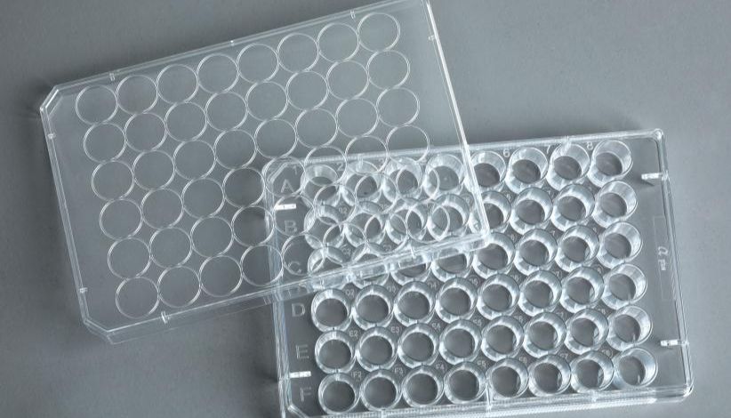 BUNSEN知识分享：Elisa板是96孔酶标板吗