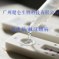 棘球蚴病抗体ELISA检测试剂盒说明书