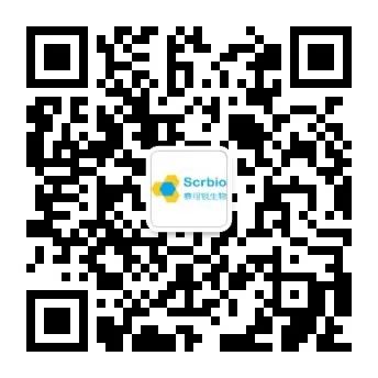 13C标记药物标准品——现货促销