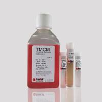 小梁网细胞培养基 TMCM