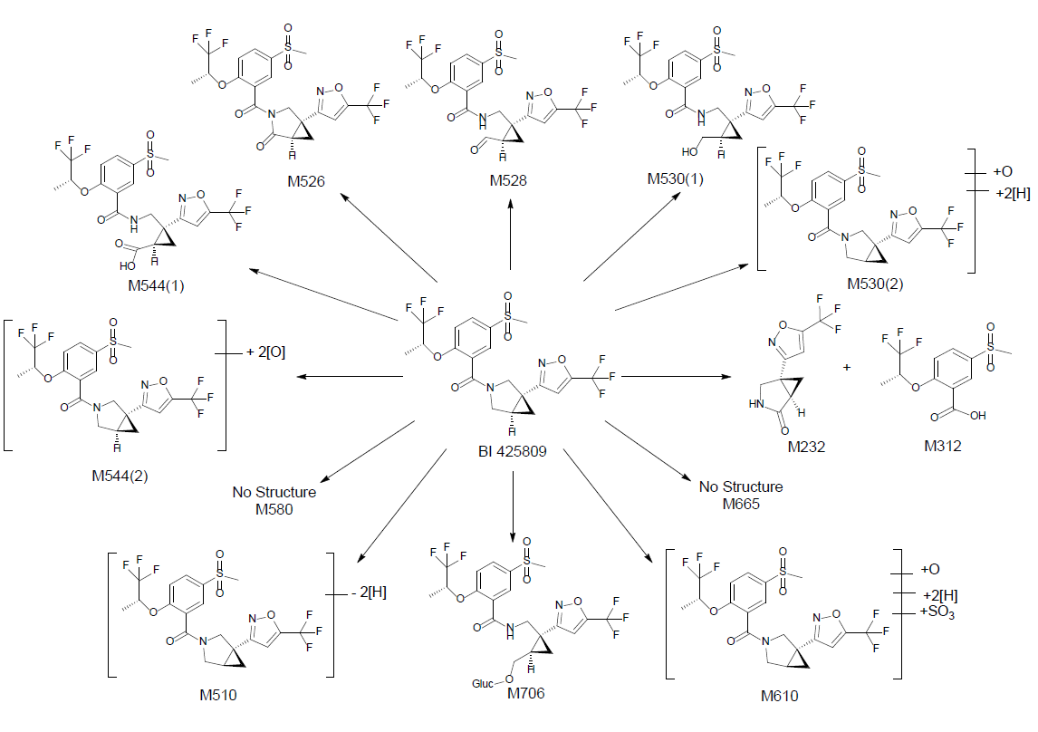 BI 425809预测代谢途径 BI 425809预测代谢途径