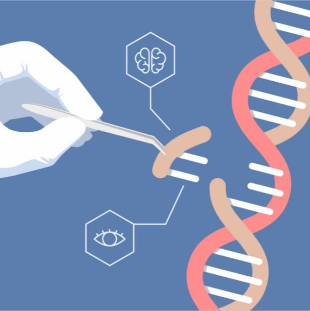 微生物基因编辑