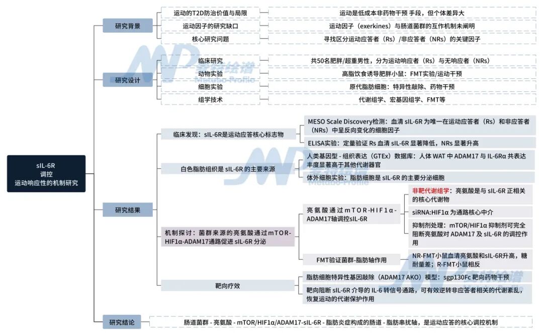 客户案例 | Cell Metabolism：运动降糖效果不佳？肠道菌群-脂肪串扰调节sIL-6R给出答案