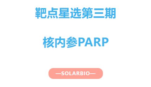 靶点星选第三期|核内参PARP