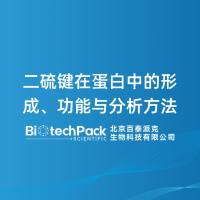 二硫键在蛋白中的形成、功能与分析方法